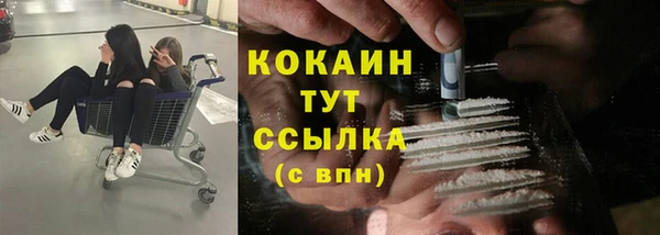 гидра Липки