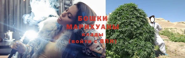 гидра Липки