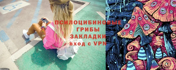 СК Ладушкин