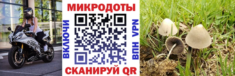 shop официальный сайт  Мурино  Галлюциногенные грибы Psilocybine cubensis  купить  