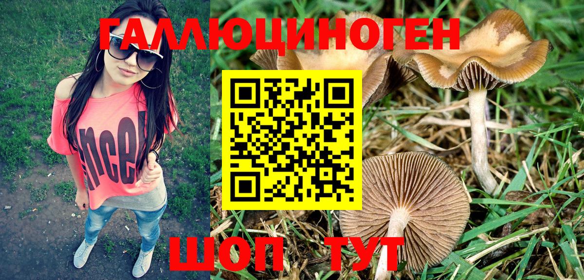 Псилоцибиновые грибы MAGIC MUSHROOMS Мурино