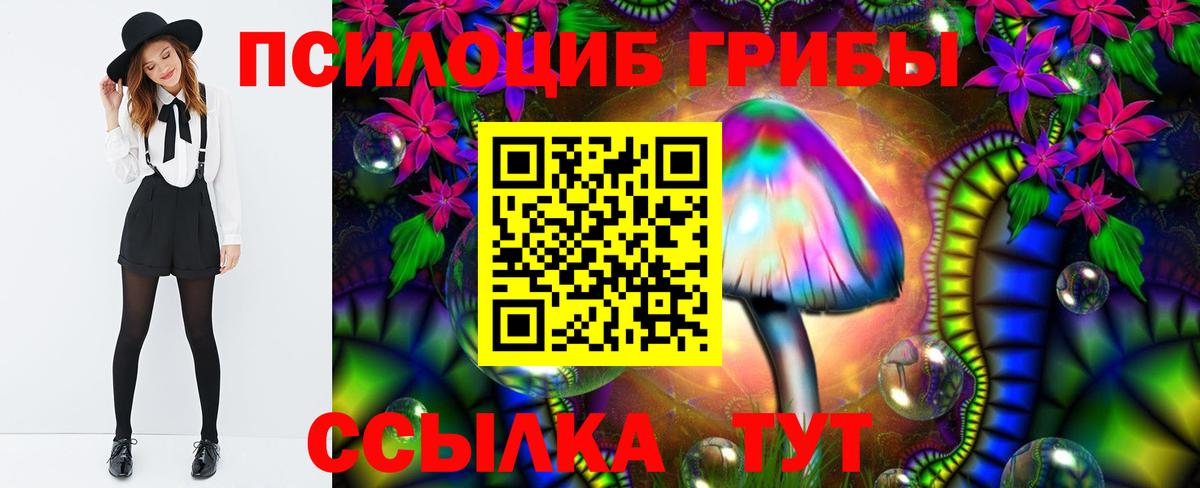 наркота  Галлюциногенные грибы MAGIC MUSHROOMS  Мурино  Вход с VPN  Псилоцибиновые грибы GOLDEN TEACHER 
